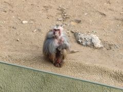 -杭州野生动物世界