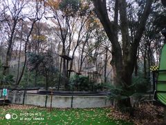 -WeLope紫金山探险公园
