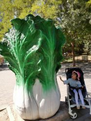 -大望京儿童游乐场