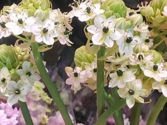 -三旗百汇商品城