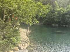 -石台牯牛降景区