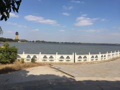 -溱湖国家湿地公园