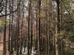-金山植物公园