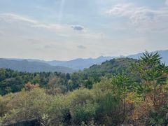 -白水寺森林公园
