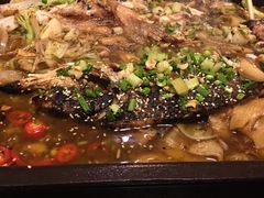 -保定会馆(秀兰店)