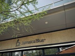 -JamaicaBlue(新城国际店)