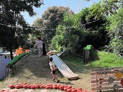 -HERRE·FARM 赫尔露营农场·团建聚会包场