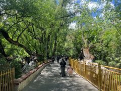 -宗角禄康公园