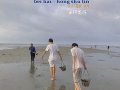 -红树林天天赶海