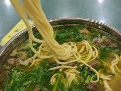 -杨记拉面总店