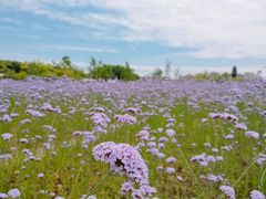 -杭州城北体育公园