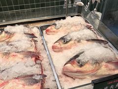 -7号院家宴.烧鸽子(门头沟店)