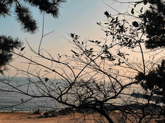 -八大关景区