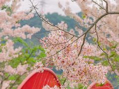 -白石龙音乐公园