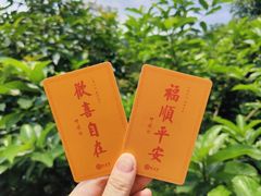 -深圳市中科院仙湖植物园