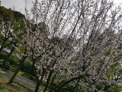 -黄兴公园