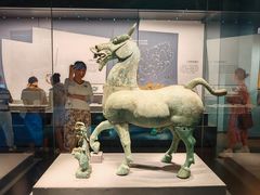 -广西壮族自治区博物馆