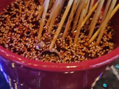 -SPARK(成都W酒店)