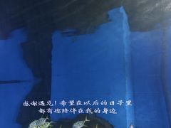 -重庆欢乐海底世界