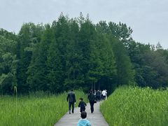 -溱湖国家湿地公园