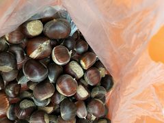 -何适山庄 ·可团建(水长城P2停车场店)