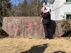 -四明山国家森林公园
