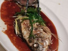 清蒸立魚-金悦轩海鲜城(渔人码头店)