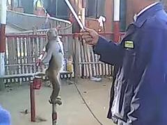 -北戴河集发农业梦想王国