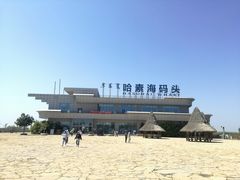 -哈素海