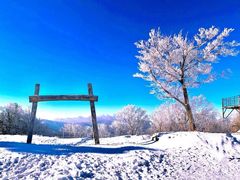 -雪谷