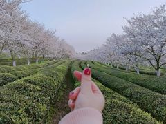 -凤凰沟景区
