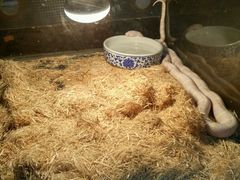 -上海大自然野生昆虫馆