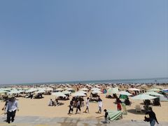 -日照海滨国家森林公园