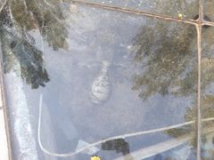 -河北省园博园