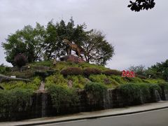 -自贡恐龙博物馆