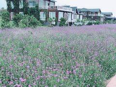 -渔岛海洋度假区