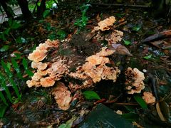 -敬亭山风景名胜区