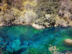 -叠溪松坪沟景区
