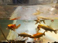 -中影国际影城(兰生大厦店)