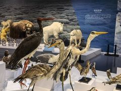 -中国湿地博物馆