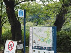 -井之头恩赐公园