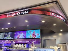 -TD66高山铁皮石斛养生茶饮