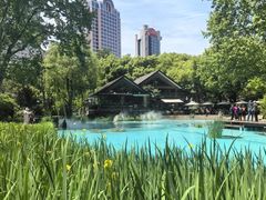 -静安公园(静安寺街道)