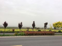 -陕西省红河谷森林公园