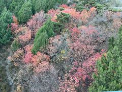 -香山公园