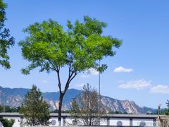 -阳台山自然风景区