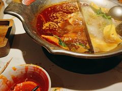-九鼎轩脆毛肚火锅(三钢里店)