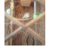 -有才叔的小馆(招商依云曲江店)