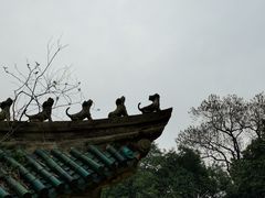 -武汉大学-樱园