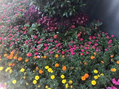 -和平门菜市场